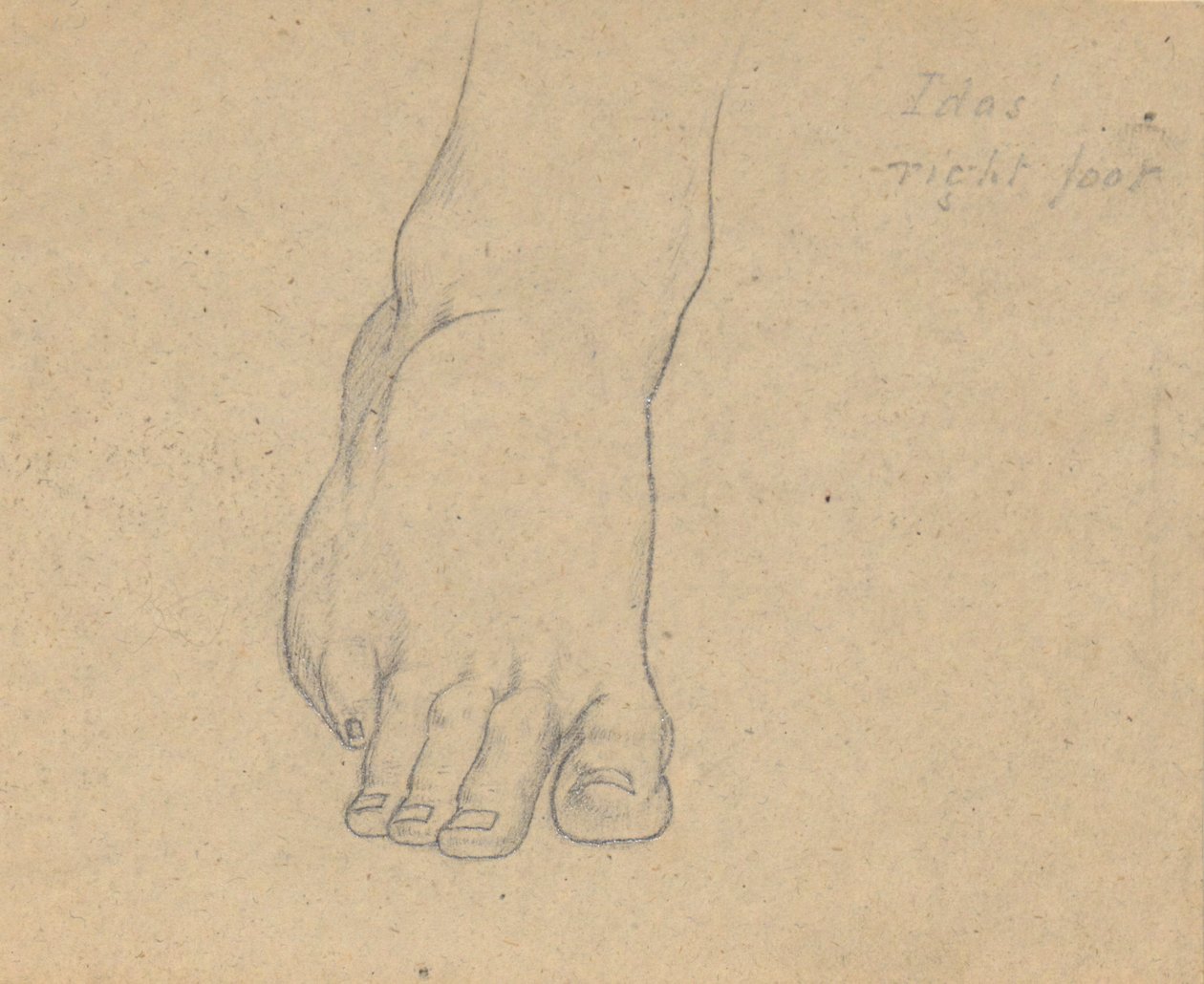 Studie für das Urteil des Jupiter (Idas, rechter Fuß) von Samuel Finley Breese Morse