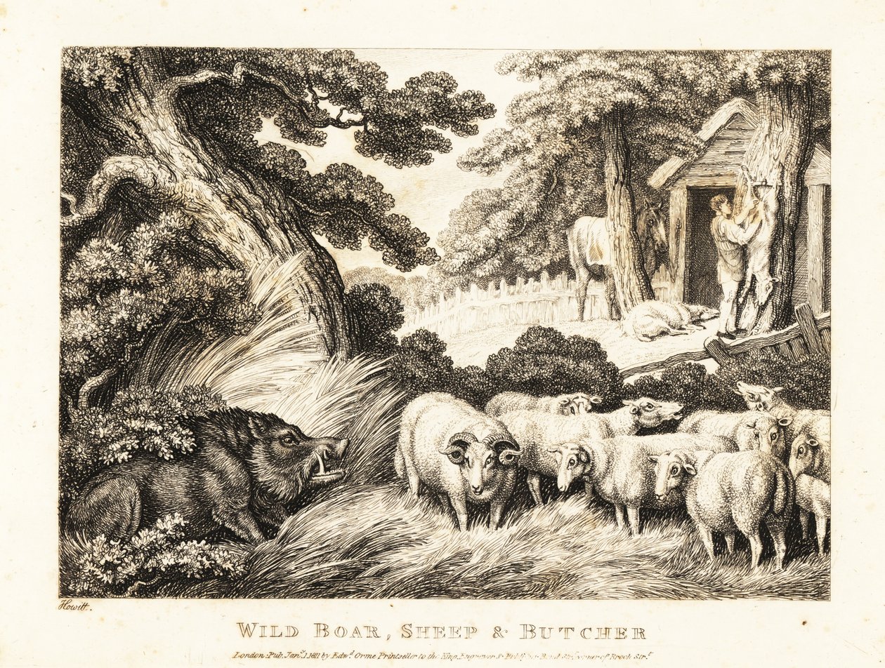 Eine Schafherde wartet auf die Schlachtung durch einen Metzger. 1811 (Radierung) von Samuel Howitt
