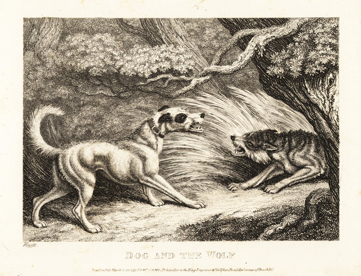 Ein Haushund in einem Halsband bietet einem verhungernden Wolf Futter an. 1811 von Samuel Howitt