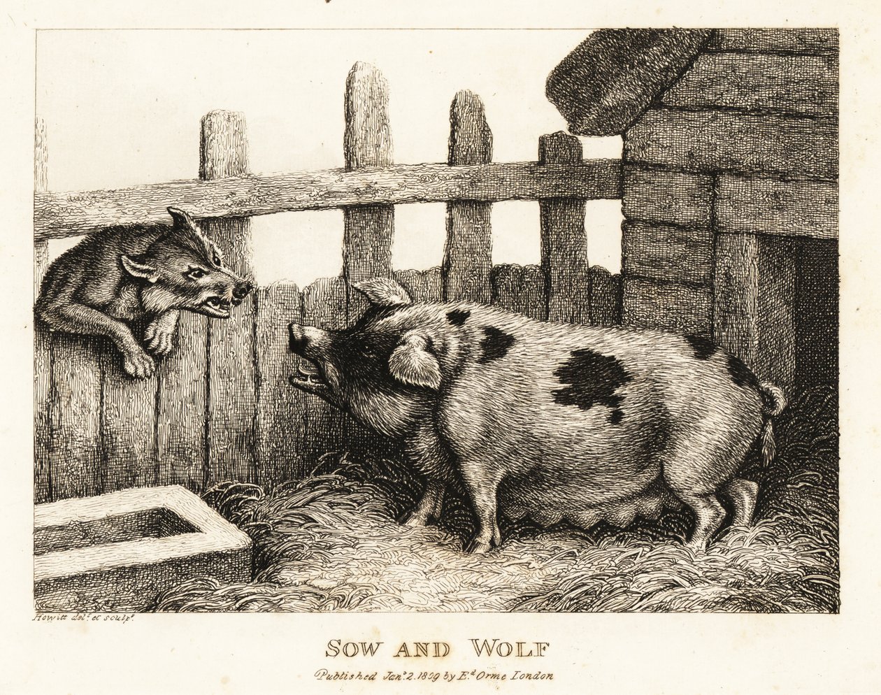 Eine große Sau im Schweinestall knurrt einen Wolf an. 1811 (Radierung) von Samuel Howitt