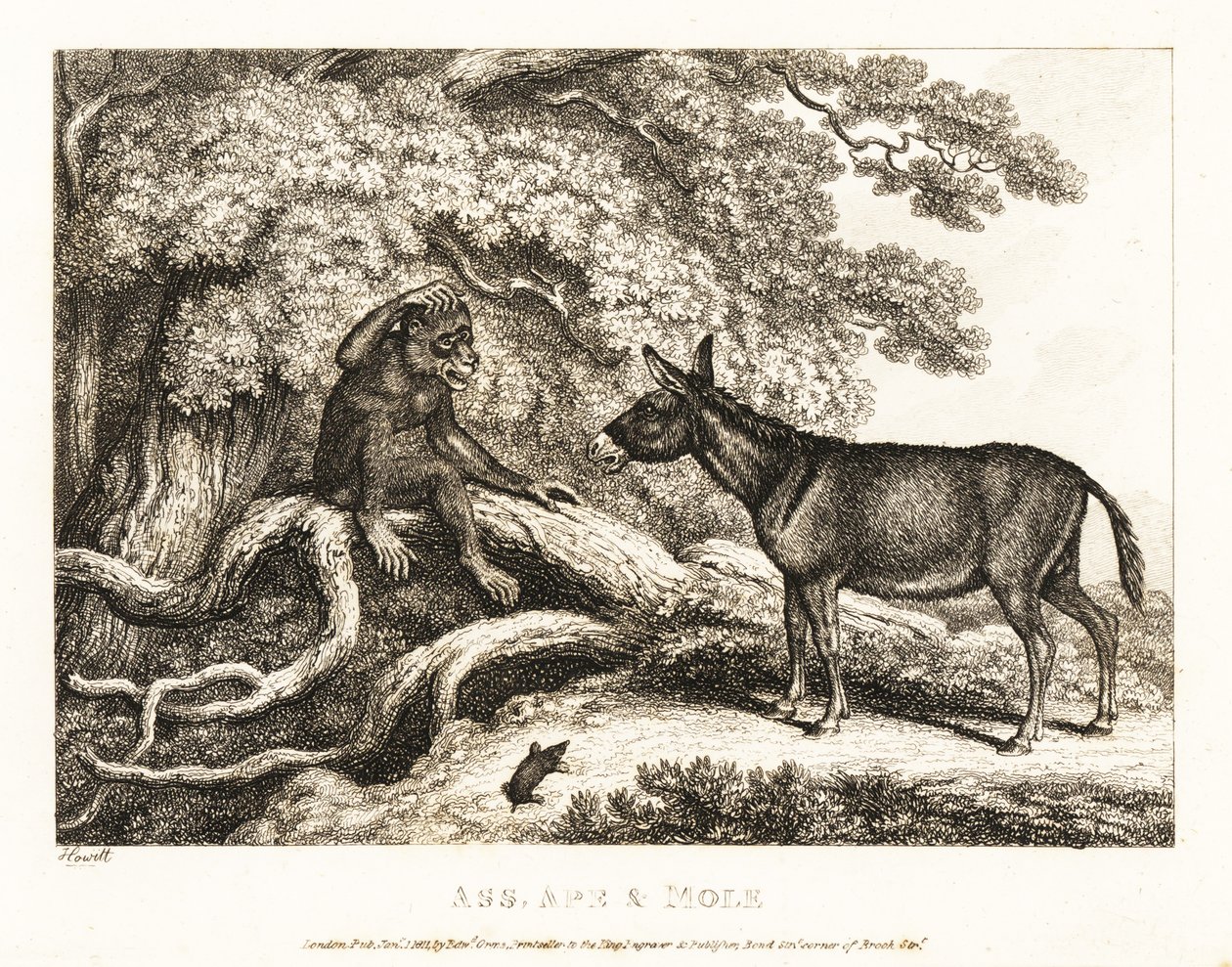Ein Affe und ein Esel jammern, bis ein Maulwurf sie zum Schweigen bringt. 1811 von Samuel Howitt