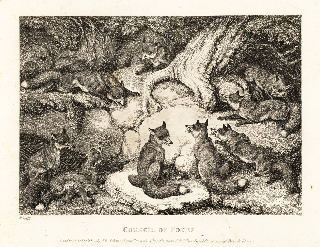 Ein Rudel Füchse trifft sich im Wald. 1811 (Radierung) von Samuel Howitt
