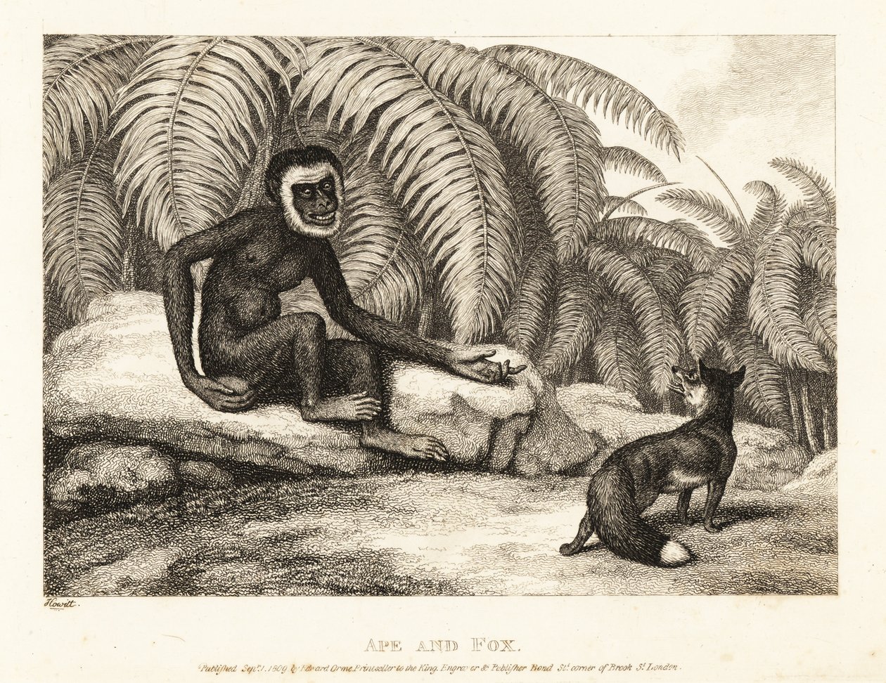 Ein schwanzloser Affe bittet einen Fuchs um etwas von seinem Schwanz. Affe und Fuchs. 1811 (Radierung) von Samuel Howitt
