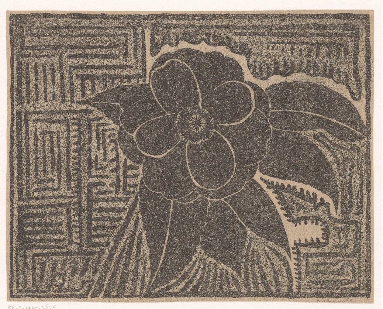 Camelia von Samuel Jessurun de Mesquita