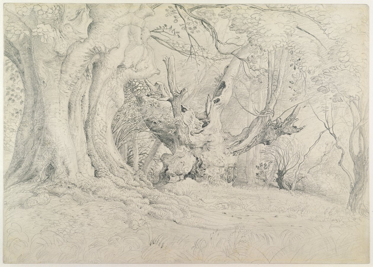 Alte Bäume, Lullingstone Park, 1828 von Samuel Palmer