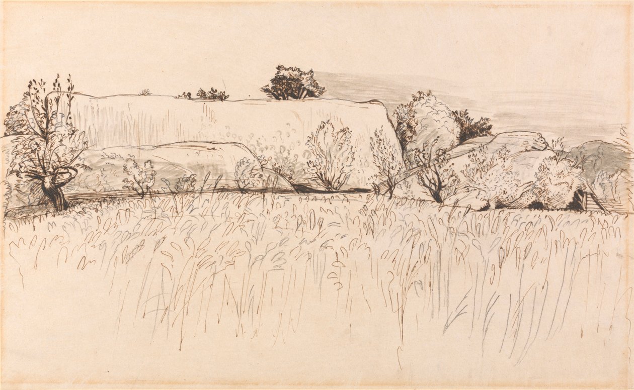 Kornfelder mit Scheune, Shoreham von Samuel Palmer