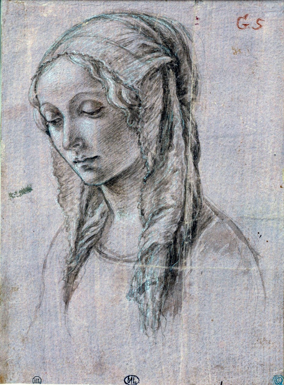 Kopf einer jungen Frau von Sandro (attr. to) Botticelli