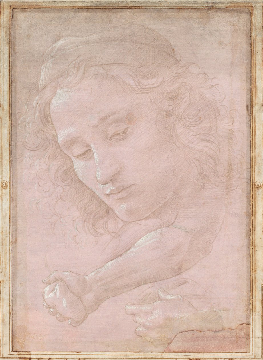 Kopf eines Jugendlichen mit Mütze; ein rechter Unterarm mit einer Hand, die einen Stein hält; und eine linke Hand, die ein Tuch hält von Sandro Botticelli