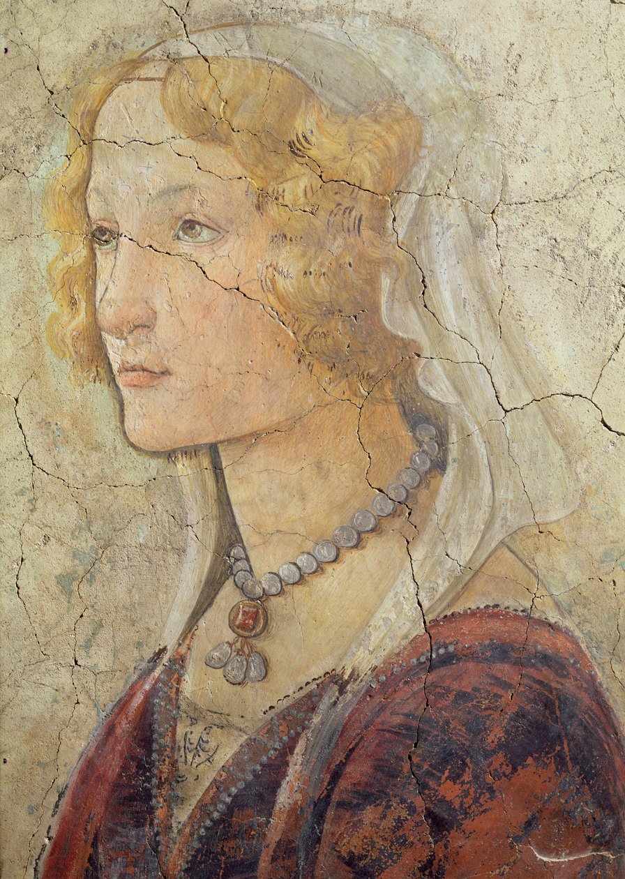 Venus und die drei Grazien, die einem Mädchen Geschenke anbieten (Detail) von Sandro Botticelli