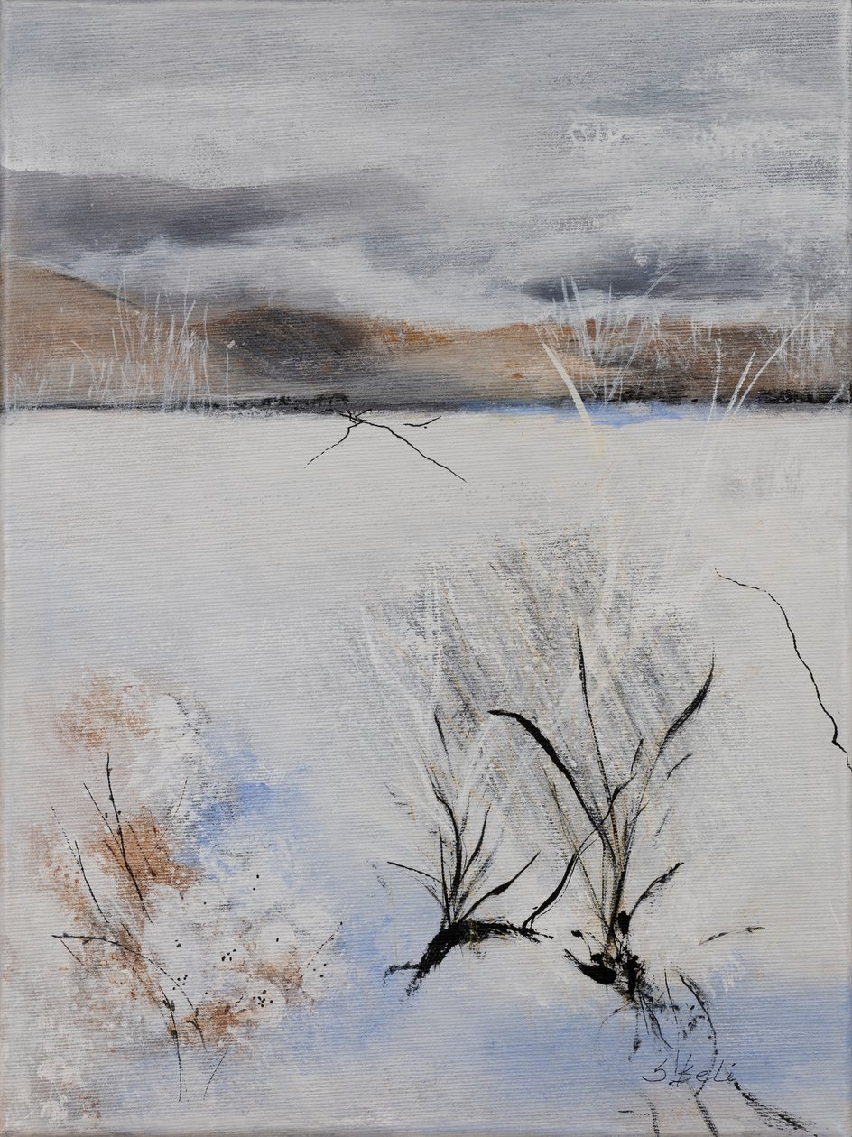 Die Ruhe des Winters von Sandy Iseli
