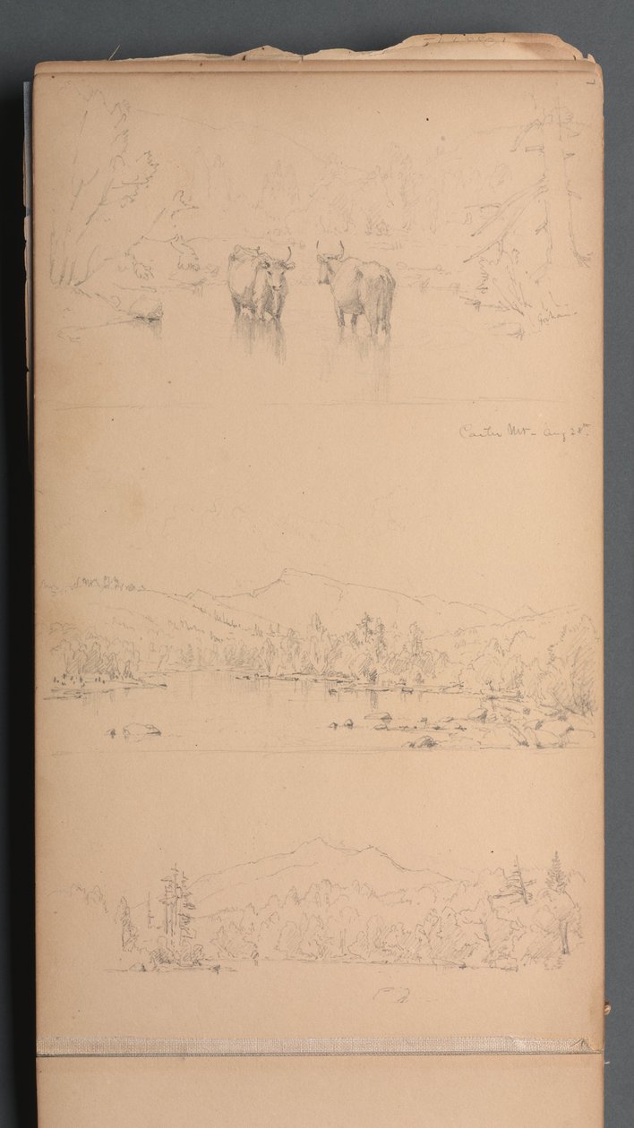Skizzenbuch, Seite 07: "Carter Mt (?) 28. August" von Sanford Robinson Gifford