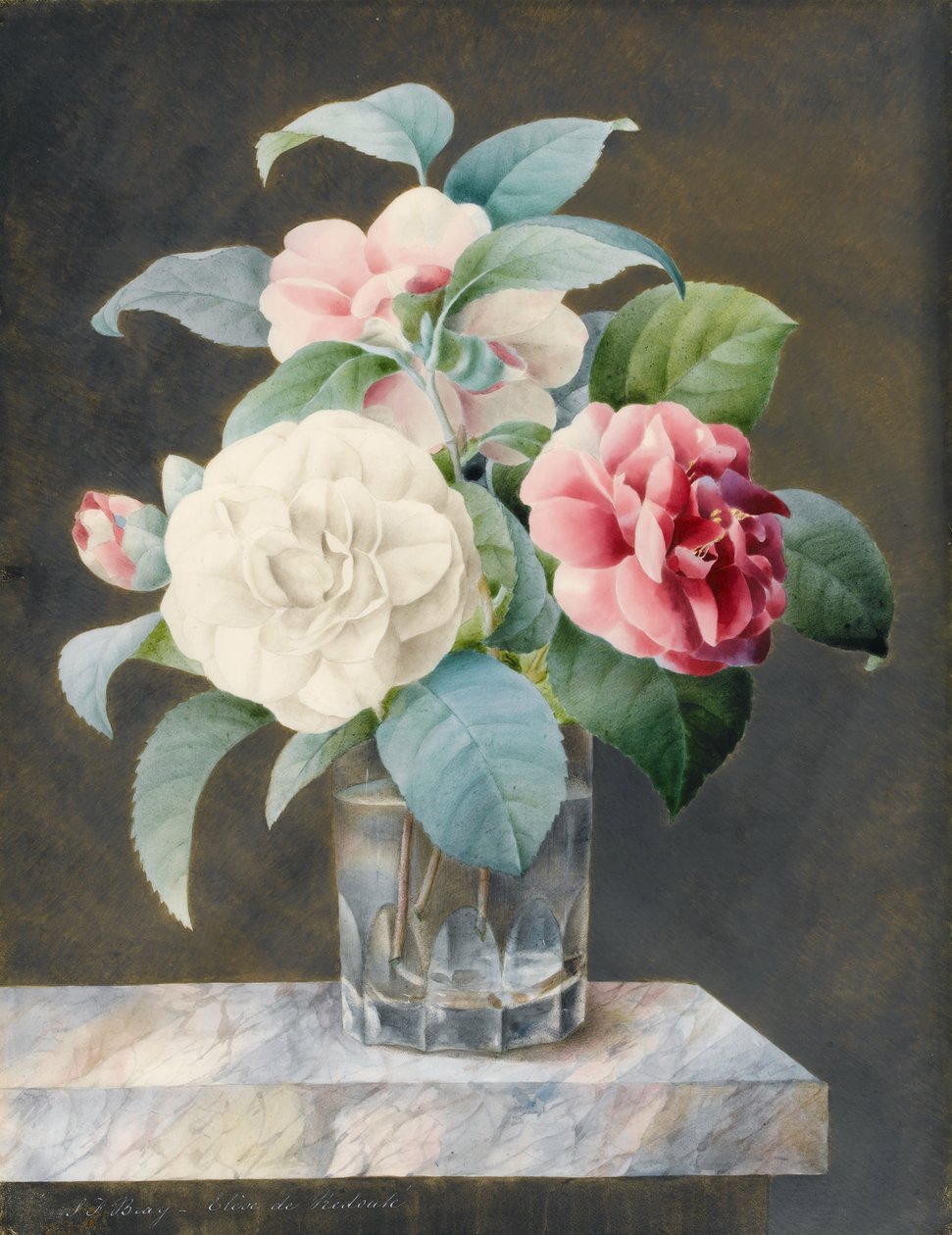 Ein Kristallvase mit weißen, rosa und roten Kamelien auf einer marmorierten Marmorplatte von Sarah Bray