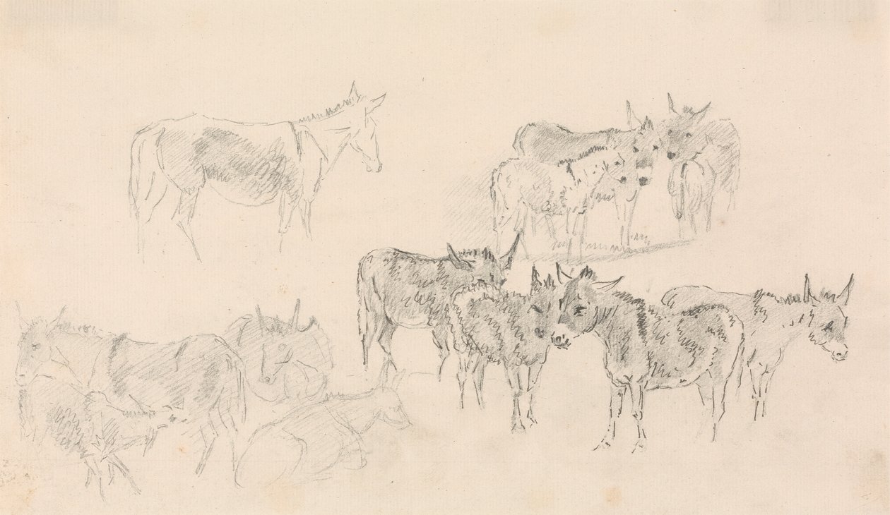 Studien von Eseln von Sawrey Gilpin