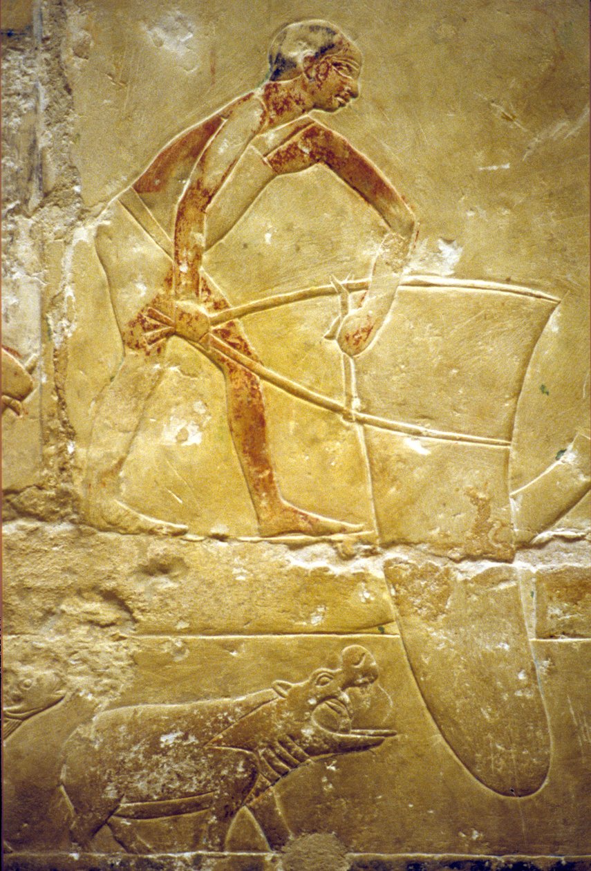 Altes Ägypten, Wandrelief/Malerei, Mastaba/Grab von Idout, Saqqara, 6. Dynastie, Fischen mit einem Fangnetz, Nilpferd von School Egyptian