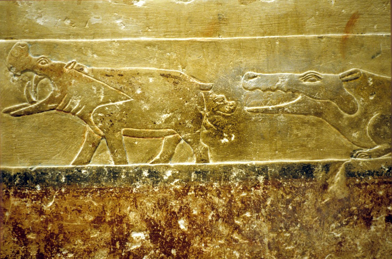 Altes Ägypten, Wandrelief/Malerei, Mastaba/Grab von Idout, Saqqara, 6. Dynastie, Nilpferd gebärt und fällt wartendem Krokodil zum Opfer (Foto) von School Egyptian