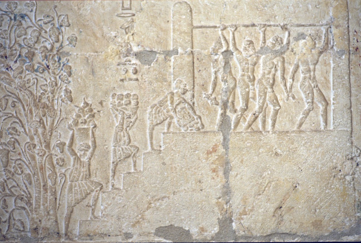 Altes Ägypten, Wandmalerei, Grab des Petosiris, Tuna el Gebel, 300 v. Chr., Weinernte, Weinherstellung, Weinpresse von School Egyptian