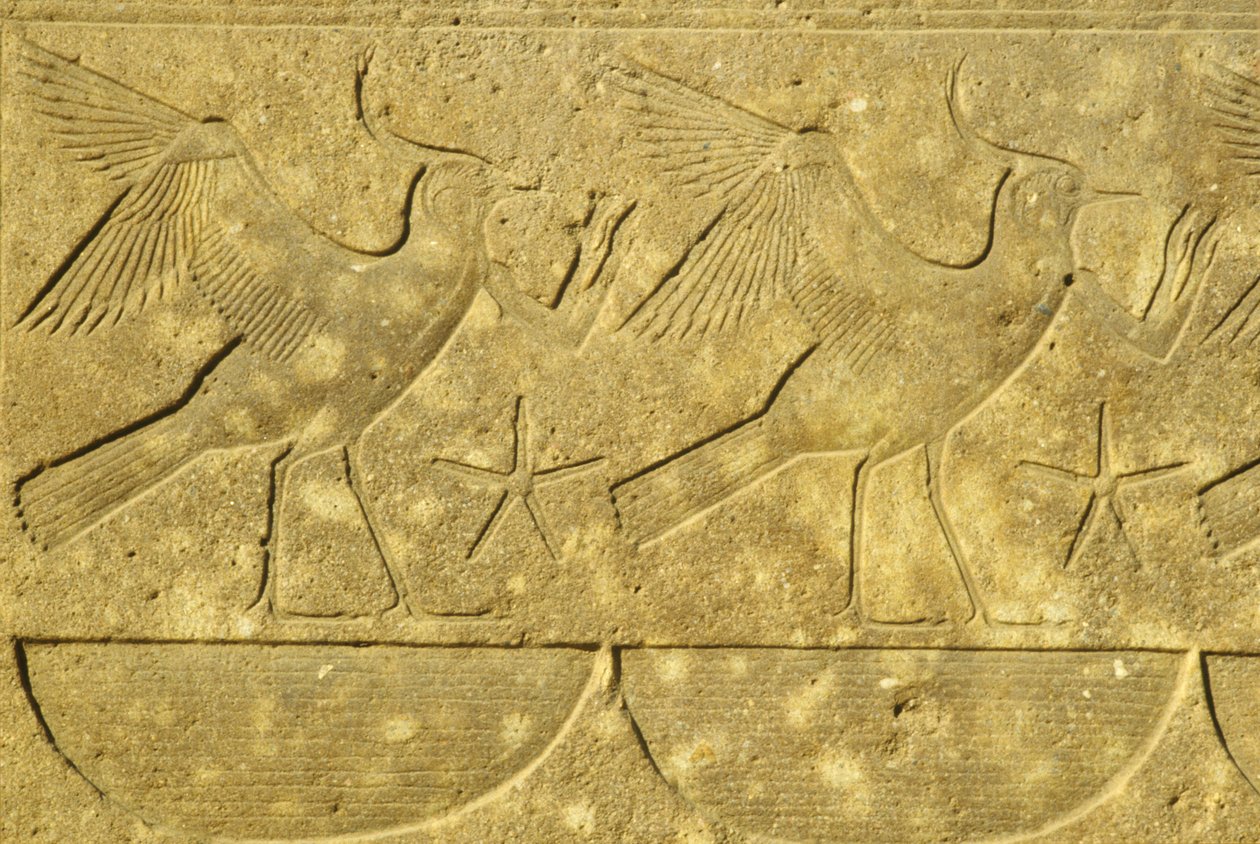 Altes Ägypten, Wandmalerei/-schnitzerei, Kiebitze, die die verschiedenen Stämme Ägyptens darstellen, Karnak-Tempel, Luxor von School Egyptian