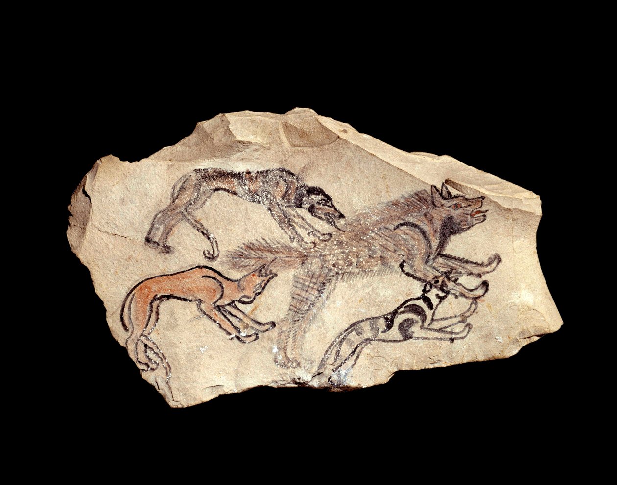 Ägyptische Antiquität: Ostrakon (oder Ostracon) (Plural: Ostraka) (Keramik) aus Kalkstein, das drei Hunde darstellt, die eine Hyäne jagen. 1300-1070 v. Chr. Paris, Louvre Museum. von School Egyptian
