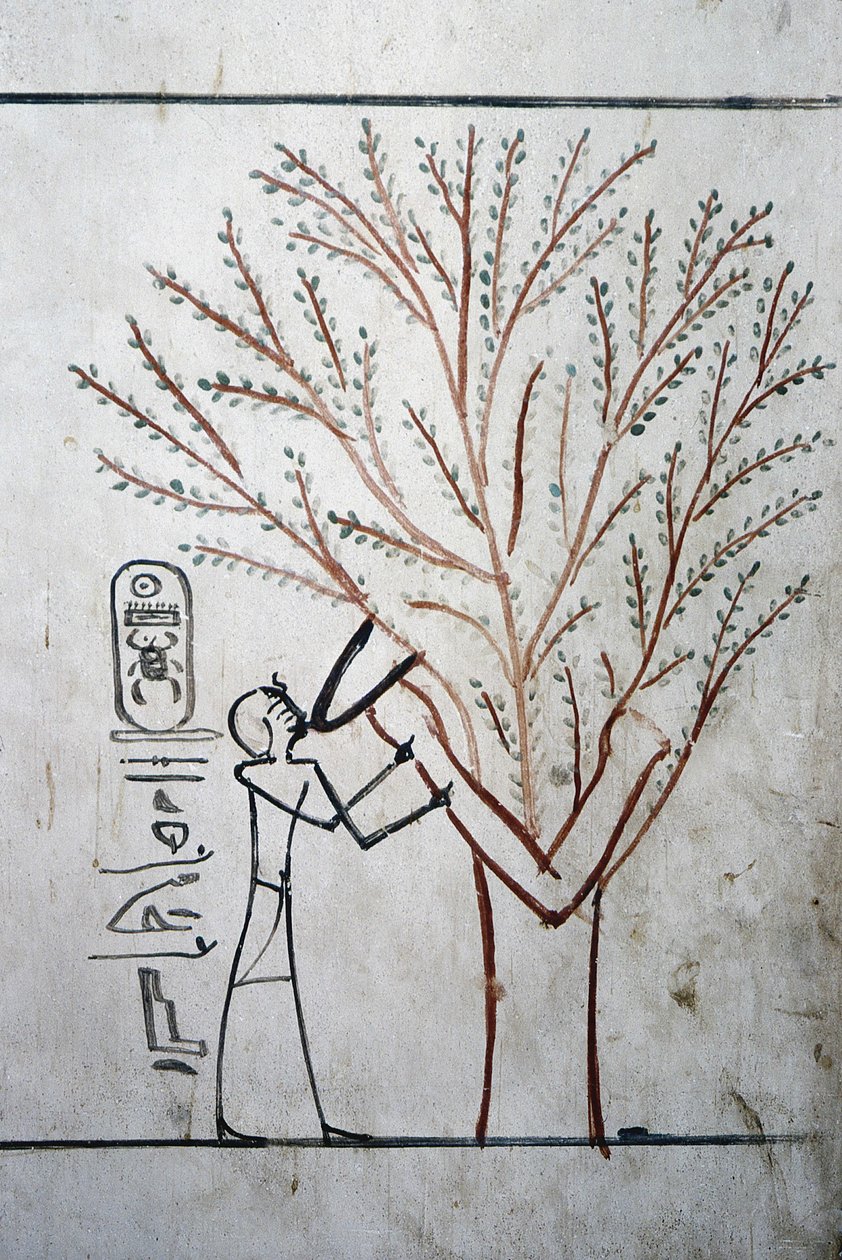 Luxor, Theben: Tal der Könige, Grab von Thutmosis III (-1504 - -1450), Pharao von Ägypten von School Egyptian