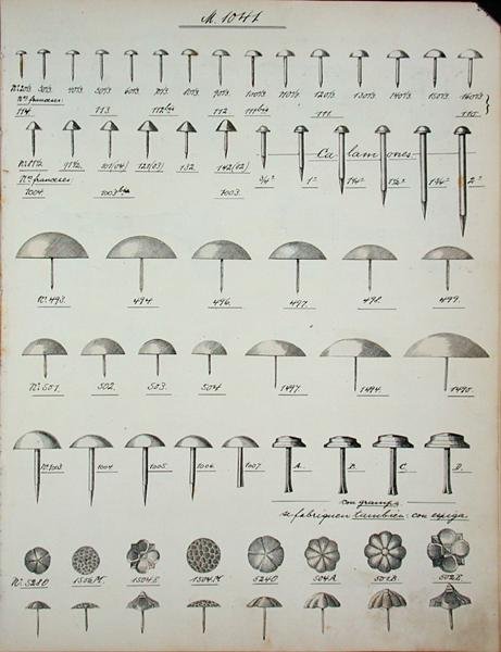 Nägel, Reißnägel und Stifte, aus einem Handelskatalog für Haushaltswaren und Beschläge, ca. 1890-1910 von School English