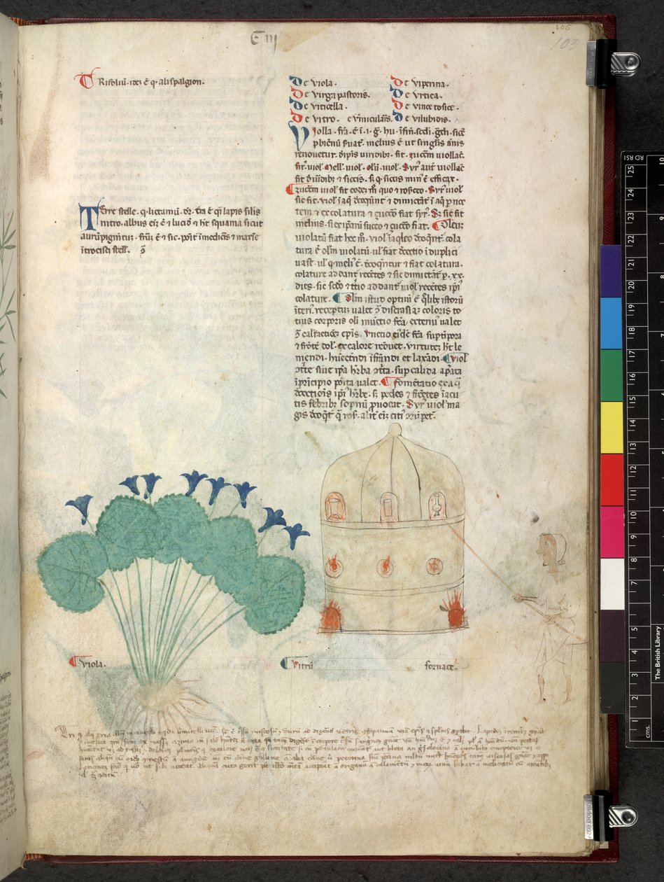 Egerton 747 Tractatus de herbis (Herbal) c.1280-1310 von School Italian