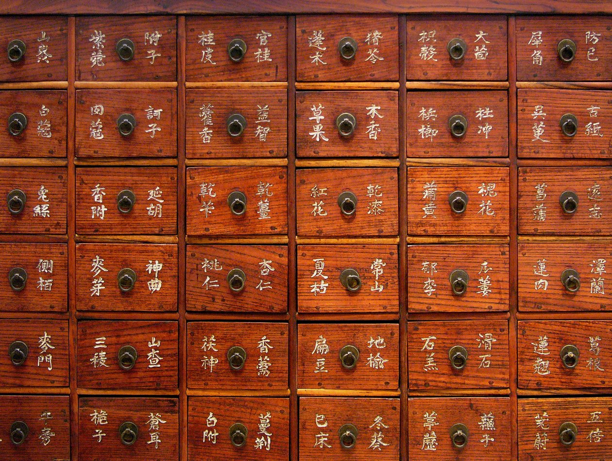 Detail eines hölzernen Medizinschranks, Joseon-Periode, Korea, Kim Chong-hak Sammlung. Fotografie, Seoul National Museum, Republik Korea, 2006 von School Korean