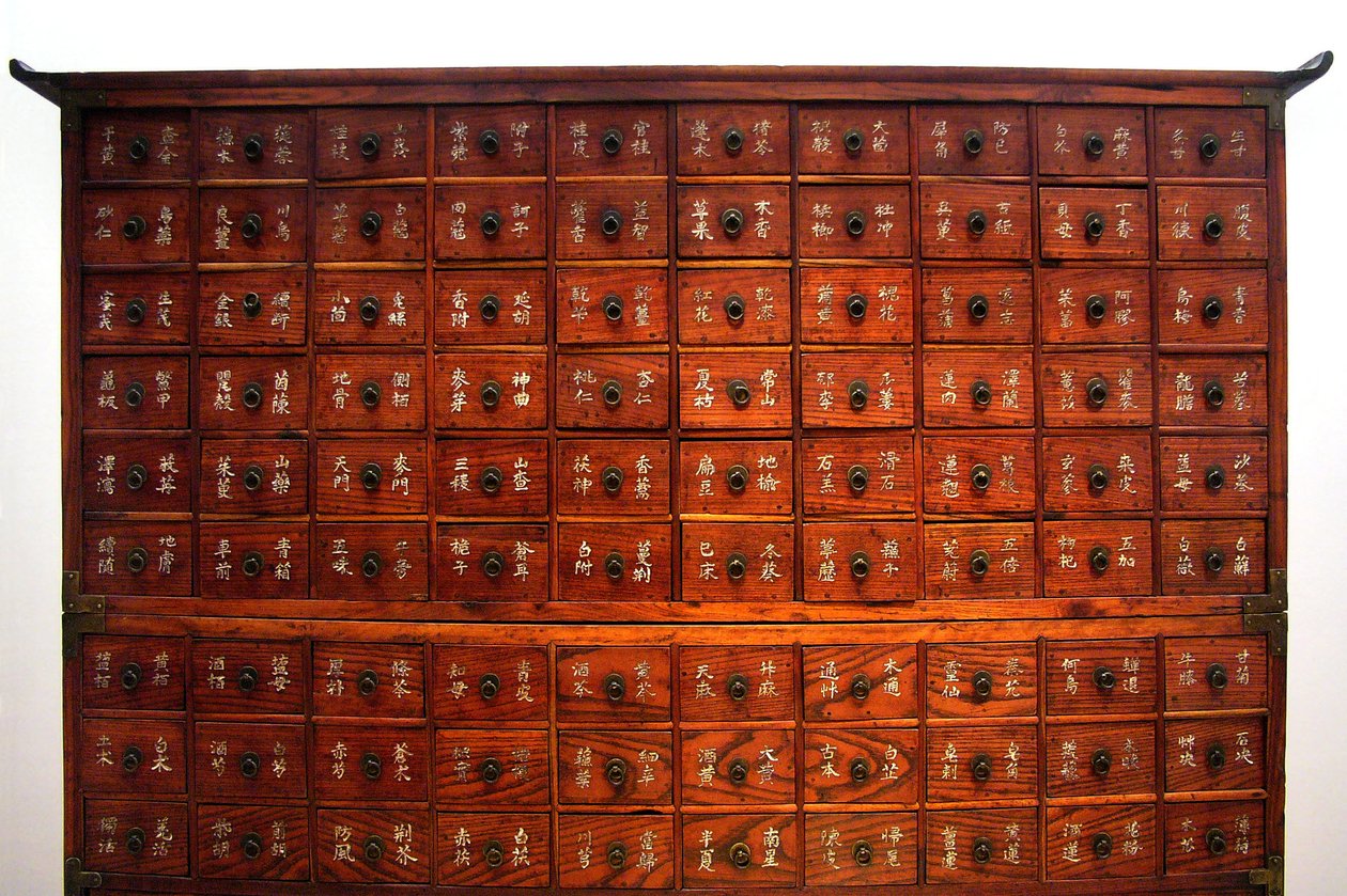Medizinisches Möbelstück aus Holz, Joseon-Periode, Korea, Kim Chong-hak Sammlung. Fotografie, Seoul National Museum, Republik Korea, 2006. von School Korean