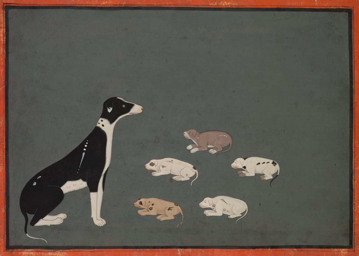 Hund mit Welpen, ca. 1780 von School Mughal