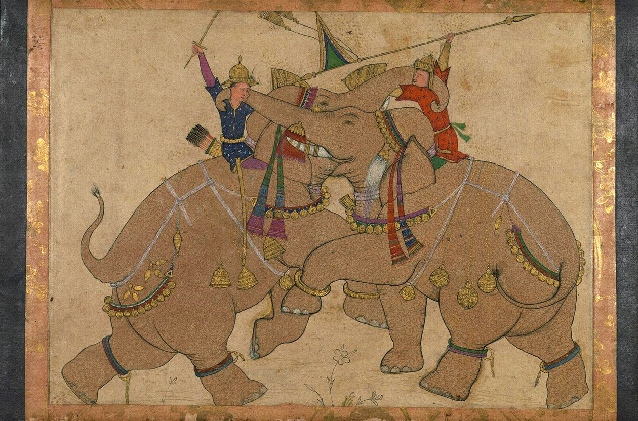 Elefantenkampf von School Mughal