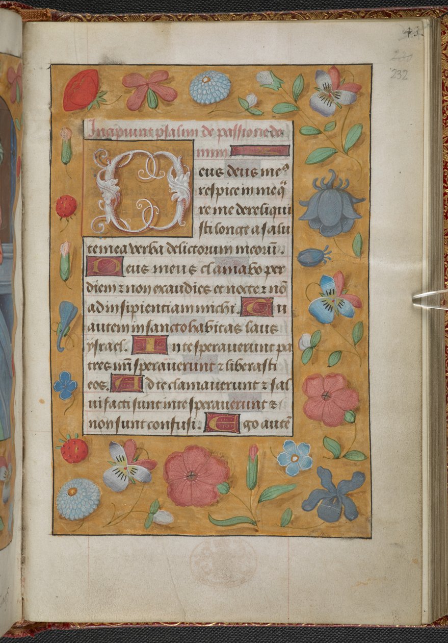 Könige 9, f.232r, Stundenbuch, Gebrauch von Sarum (