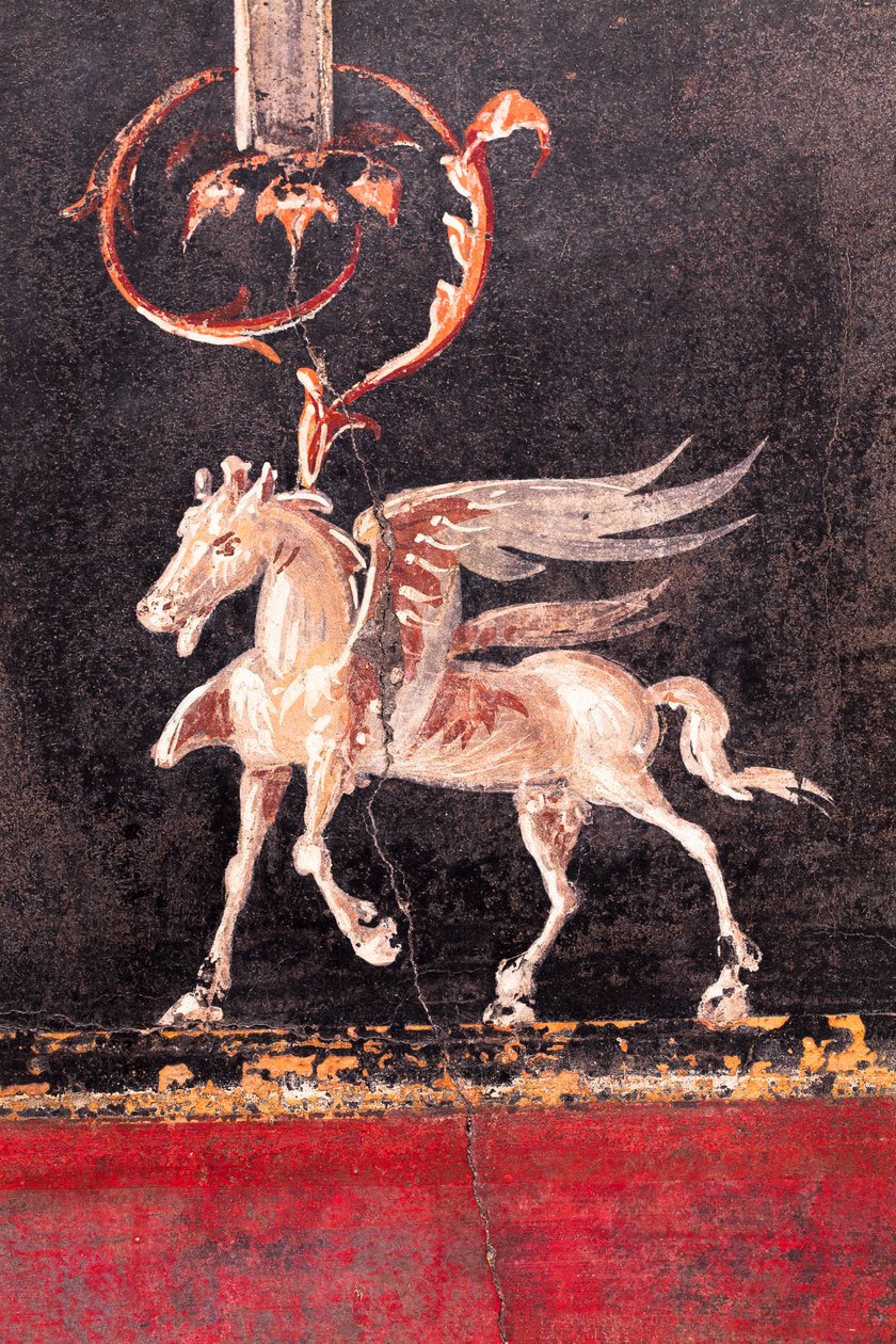 Architektonische Dekoration mit geflügelten Pferden (Pegasi), Herculaneum von School Roman
