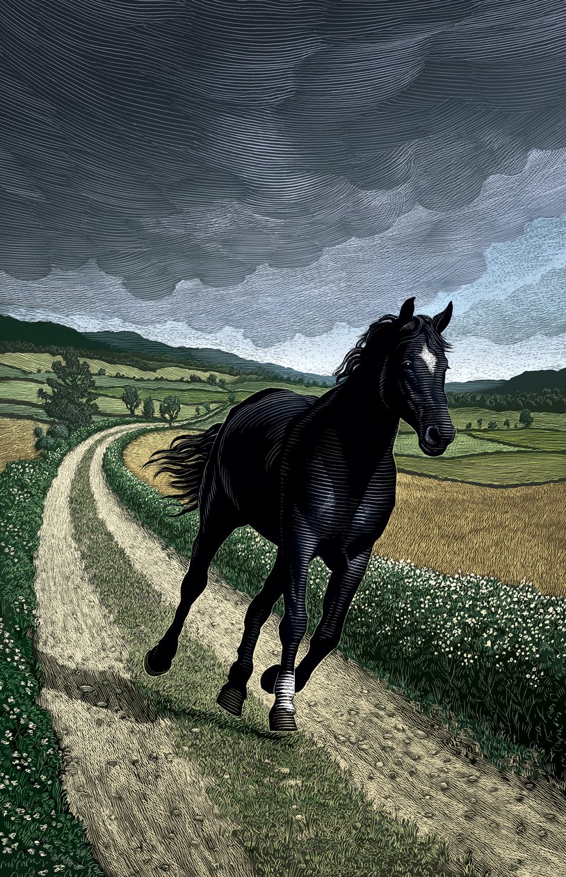 Schwarze Schönheit von Scott McKowen