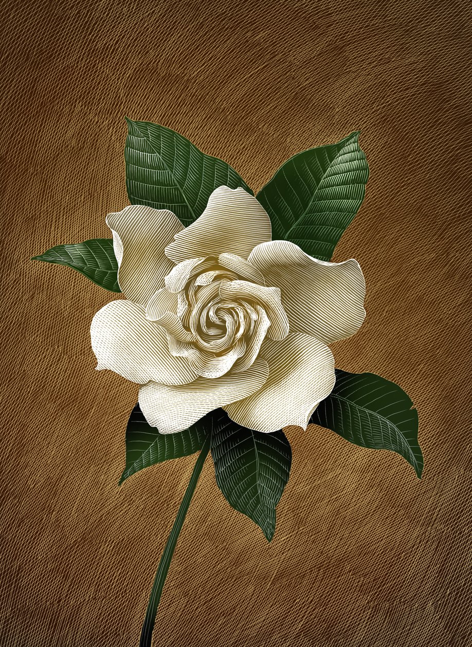 Gardenie von Scott McKowen
