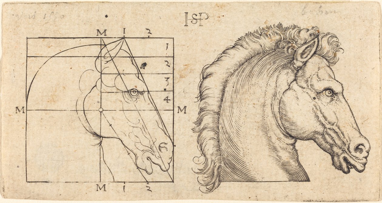 Zwei Pferdeköpfe von Sebald Beham