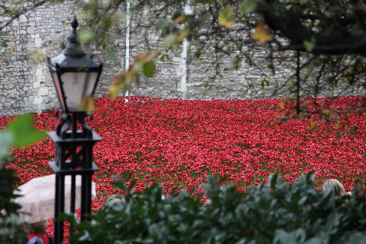 Blood Swept Lands and Seas of Red, Tower of London, 2014 von Sheldon Marshall
