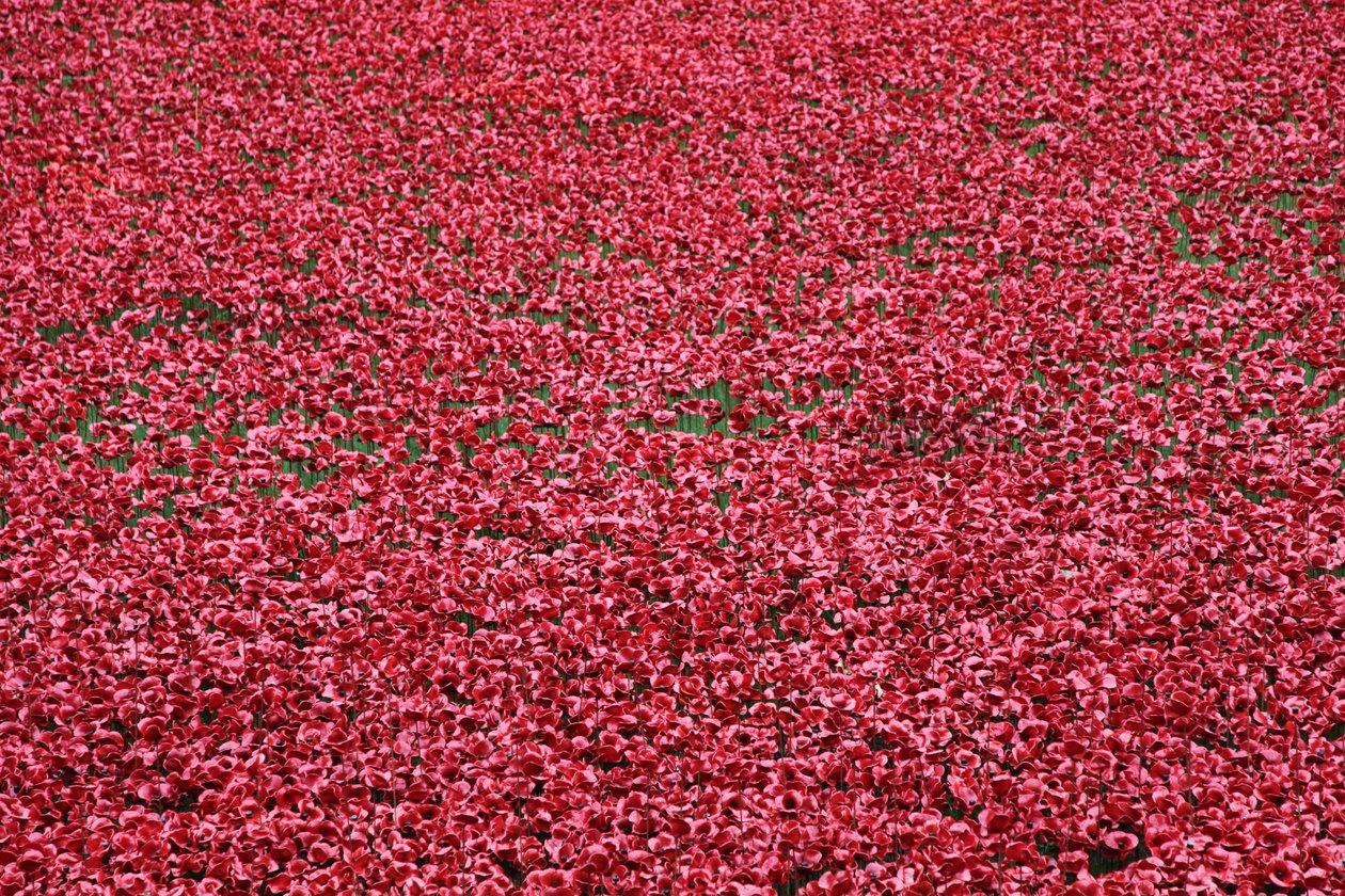 Blutüberströmte Länder und Meere aus Rot, Tower of London von Sheldon Marshall