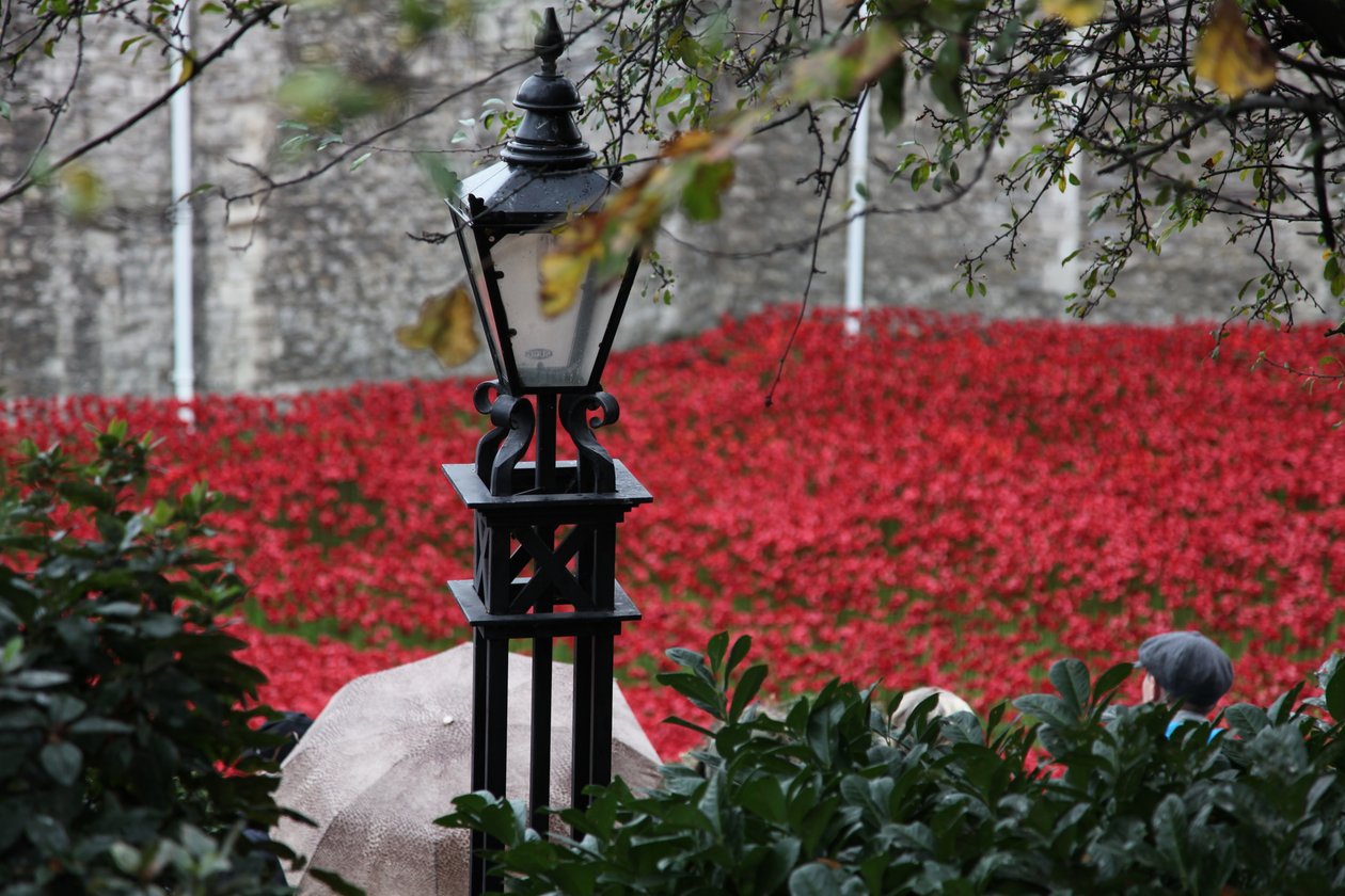 Blutüberströmte Länder und Meere aus Rot, Tower of London, 2014 von Sheldon Marshall