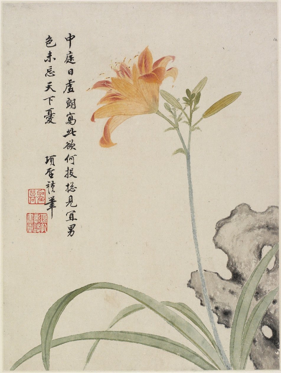Taglilie aus einem Blumenalbum mit zehn Blättern, 1656 von Shengmo Xiang