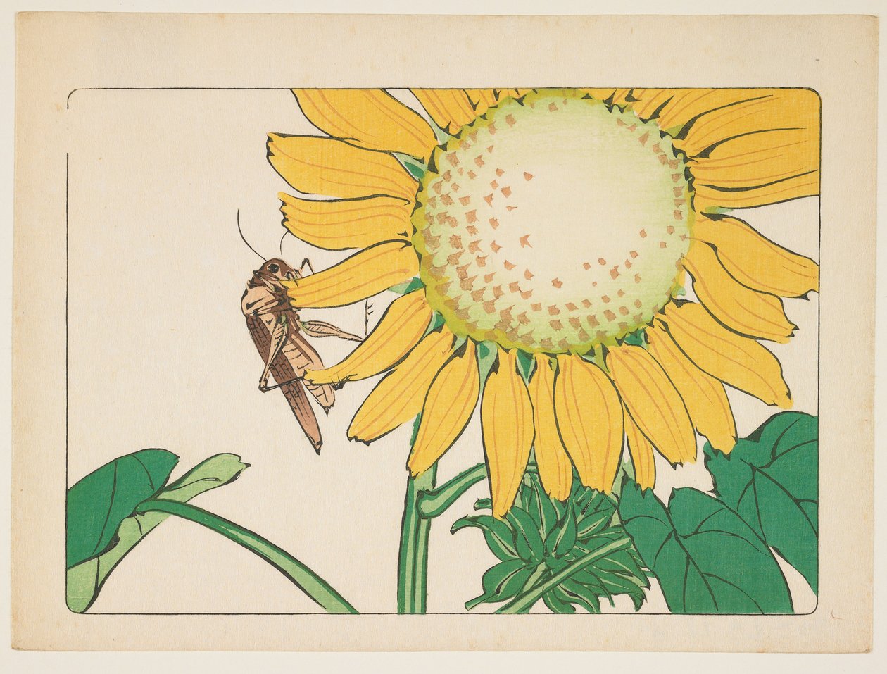 (Heuschrecke und Sonnenblume) von Shibata Zeshin