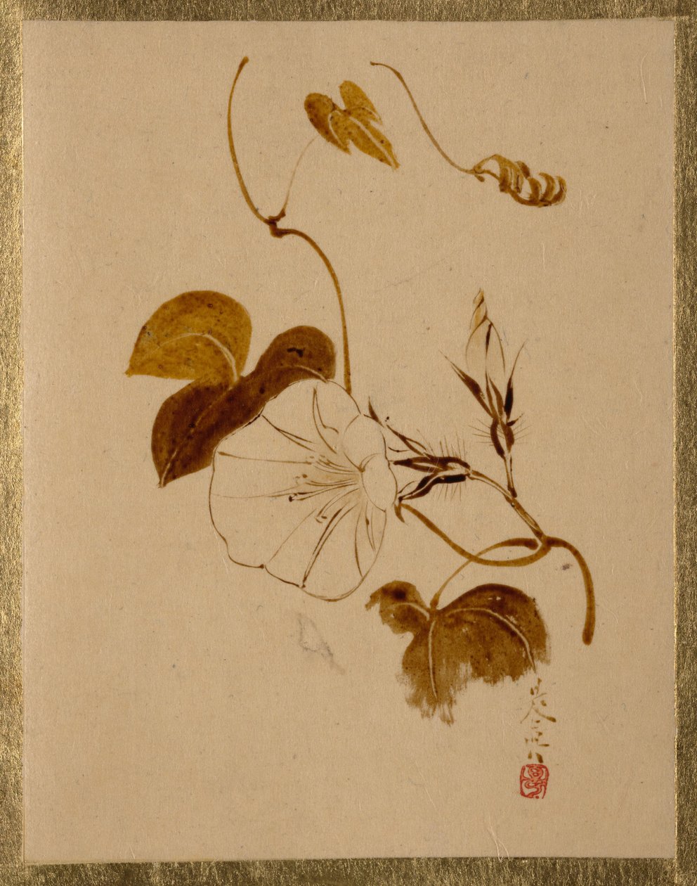 Morgenruhm von Shibata Zeshin