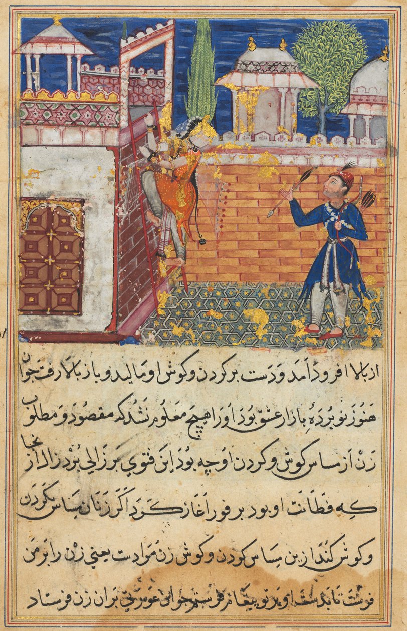 Seite aus Geschichten eines Papageis Tuti-nama: Achte Nacht: Die betrügerische Frau kehrt zurück..., 1558-1560 von Shravana