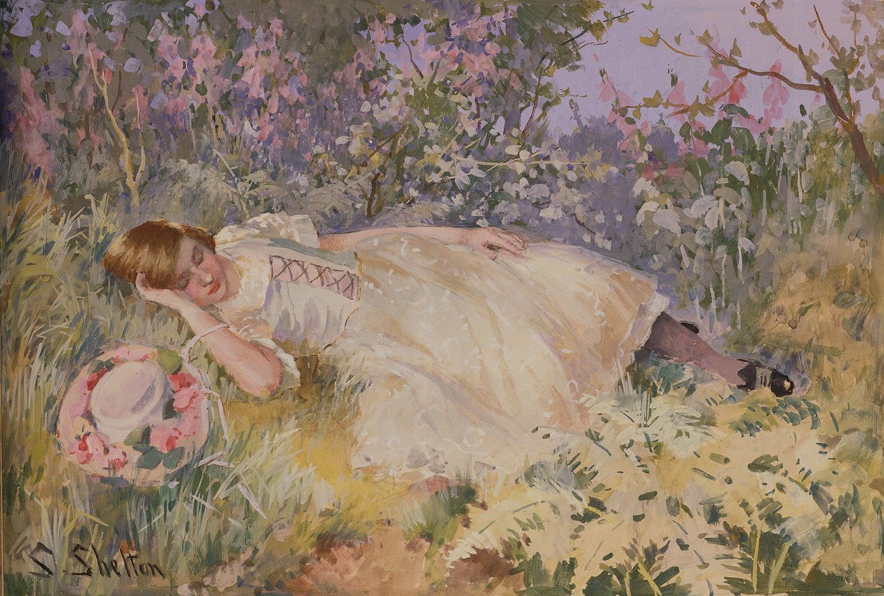Schlafend unter den Fingerhüten von Sidney Shelton