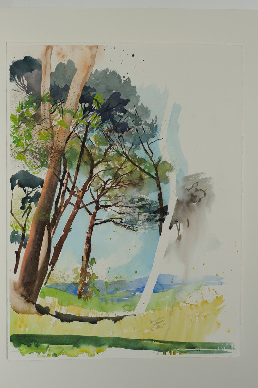 Kiefern bei St. Blaise, 2004 von Simon Fletcher