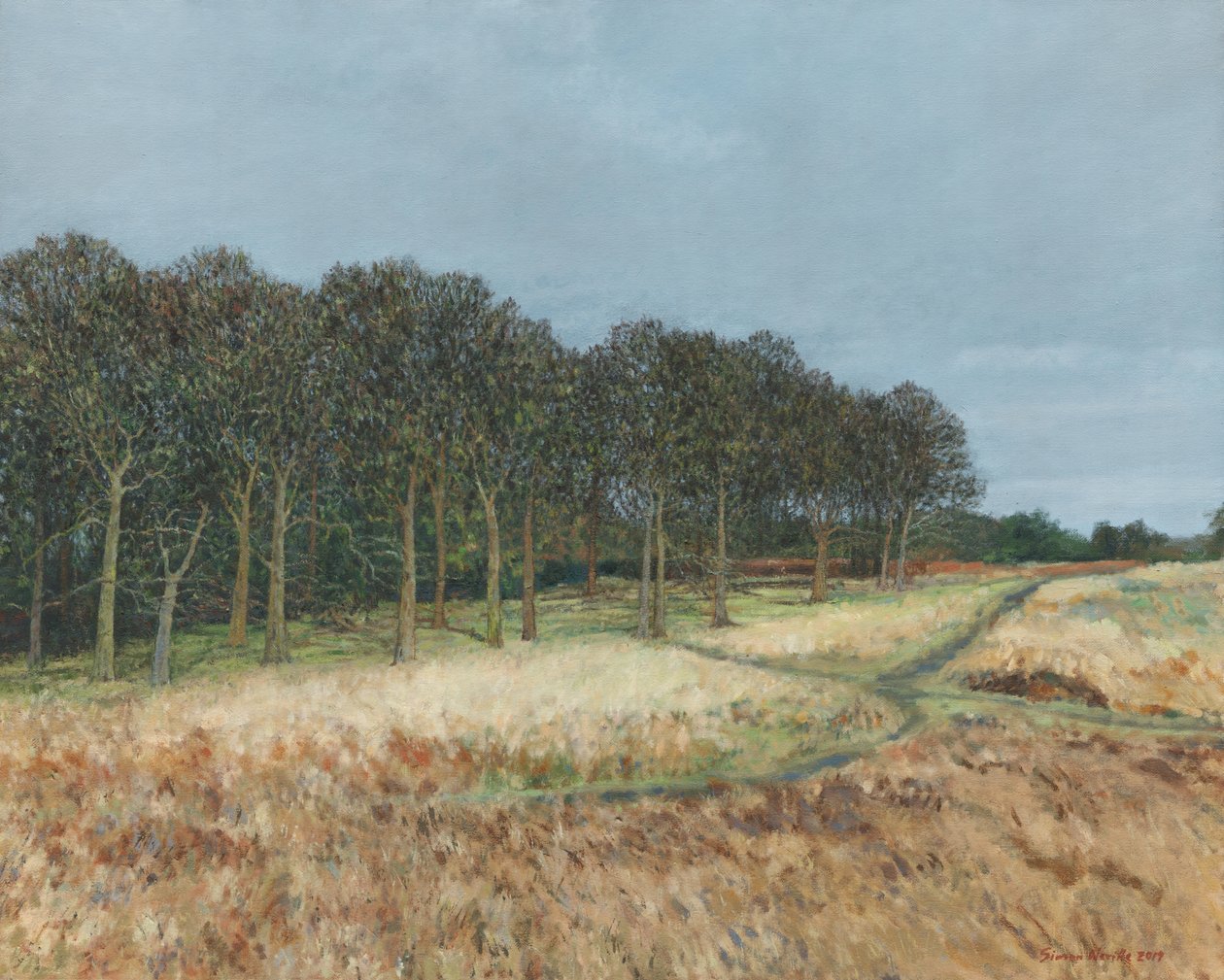 Wald, Richmond Park, 2019 von Simon Neville