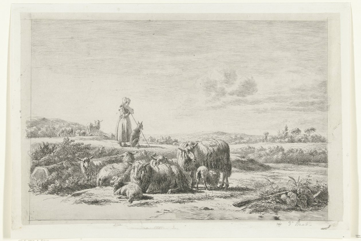 Landschaft mit Hirtin und Hund bei Schafherde von Simon van den Berg