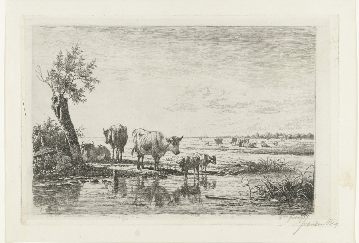 Weidelandschaft mit Kühen am Wasser von Simon van den Berg
