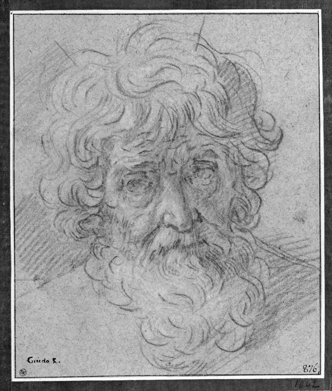 Kopf eines alten Mannes von Simone Cantarini