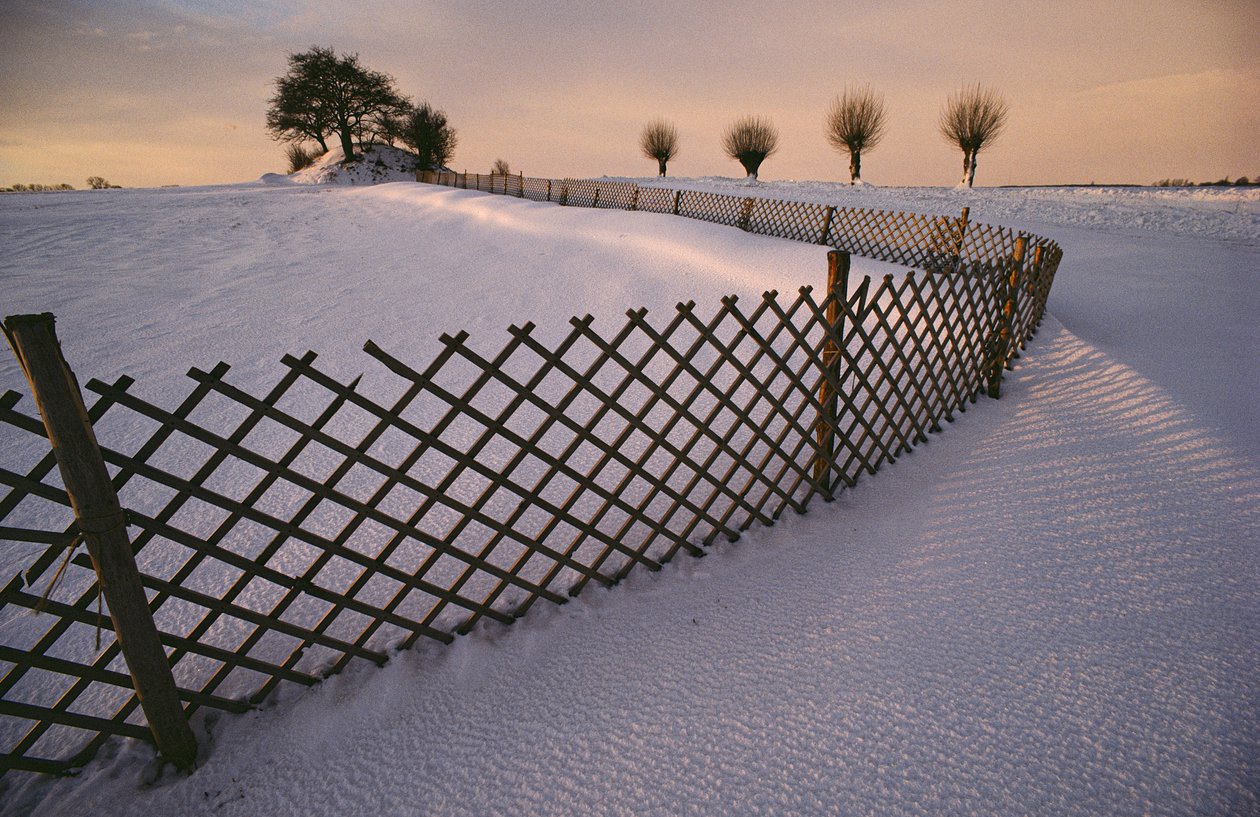 Ein Wikingergrab im Schnee nahe Elverhoej, Dänemark im Winter, 2022 (Foto) von Sisse Brimberg