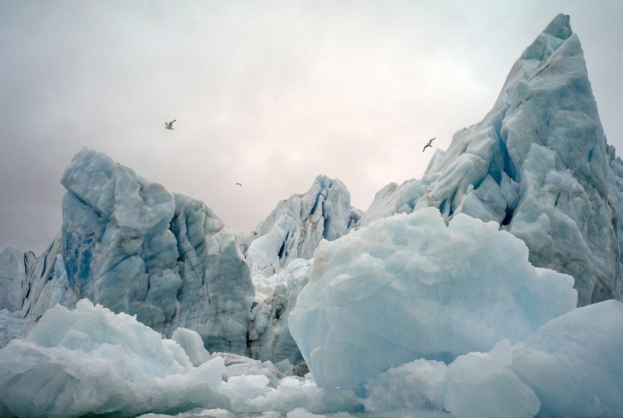 Eisberge im arktischen Meer um die Insel Spitzbergen, Norwegen von Sisse Brimberg