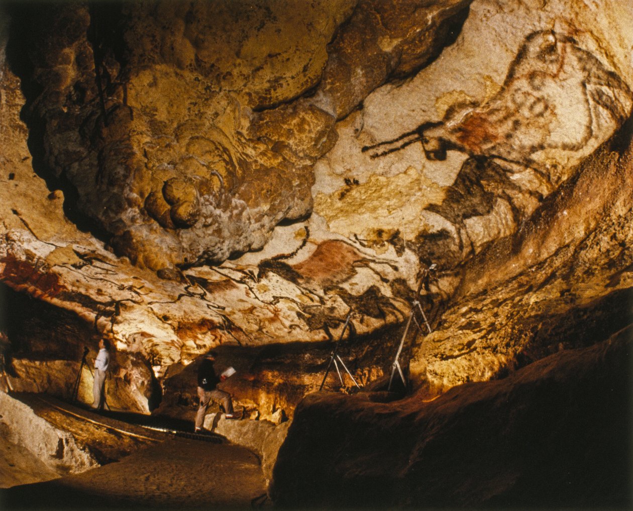 Das mythische Einhorn von Lascaux und andere Lascaux-Gemälde vor über 17.000 Jahren von Sisse Brimberg